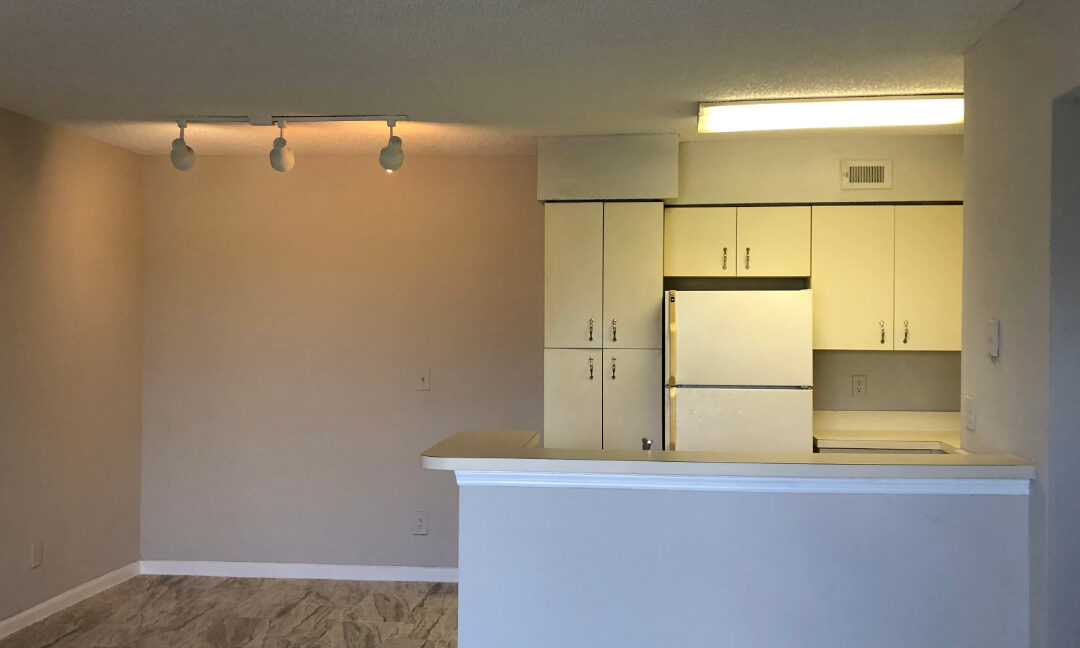 Adobe Express - file2