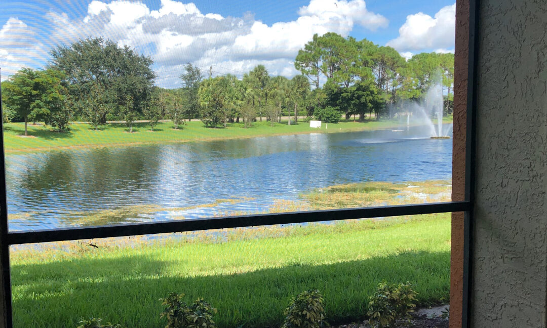 Adobe Express - file9